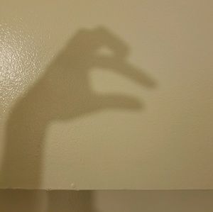 Meet your Posher, Sam